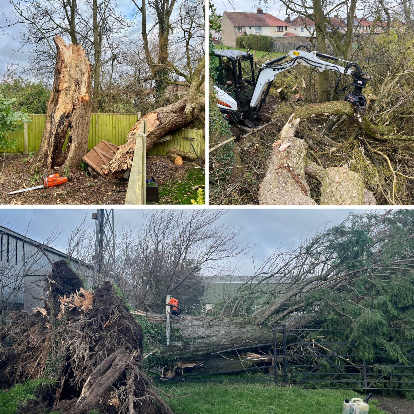 Storm Damage - James Watson Tree Services