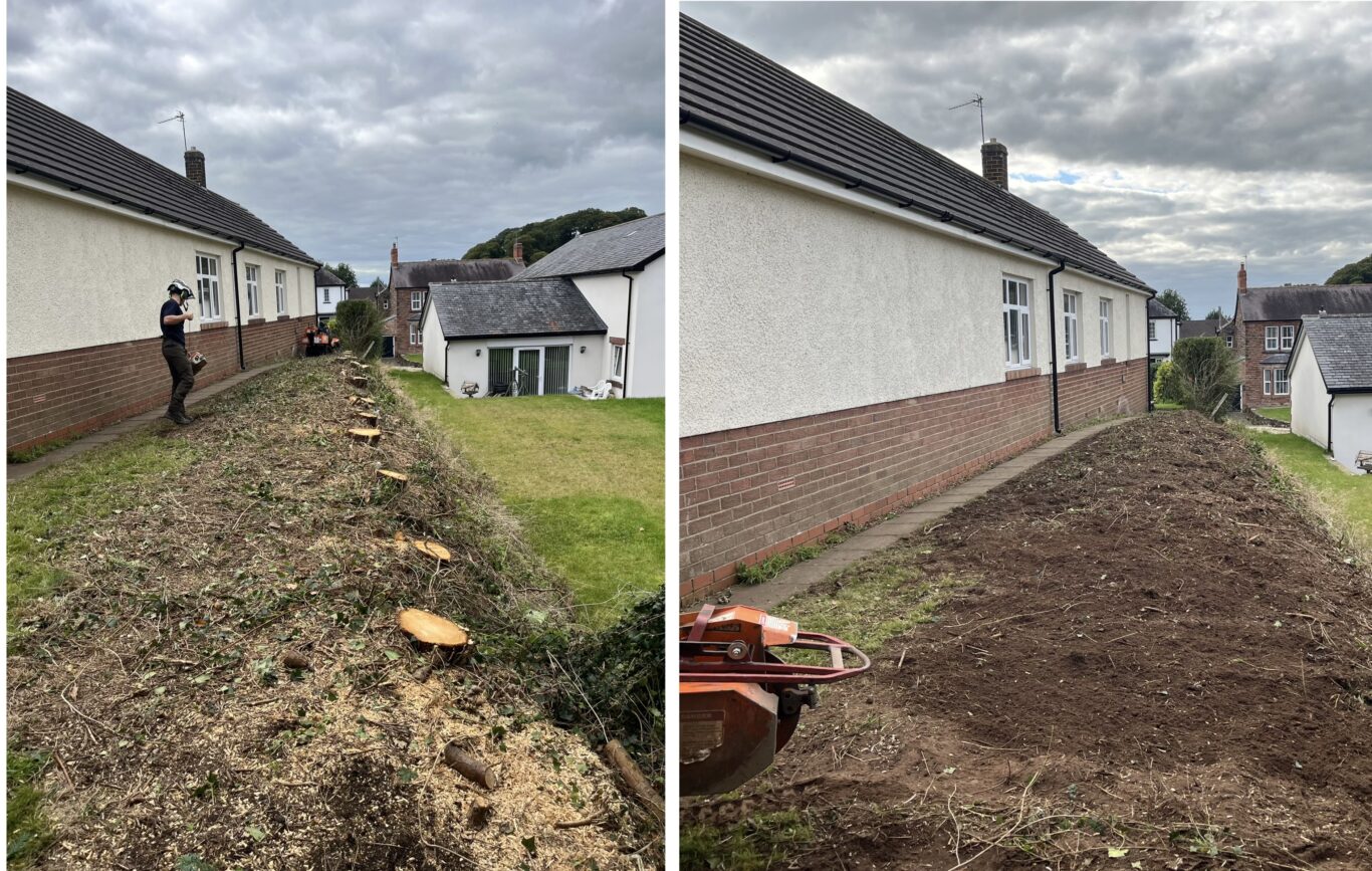 Stump Grinding Service - James Watson Tree Services