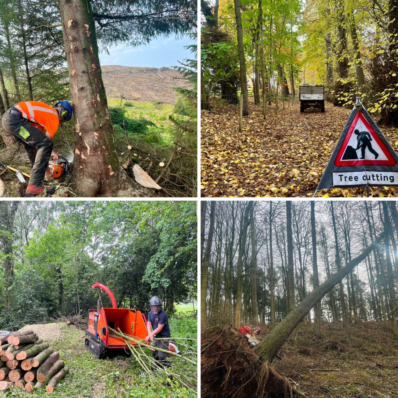 Woodland Management - James Watson Tree Services