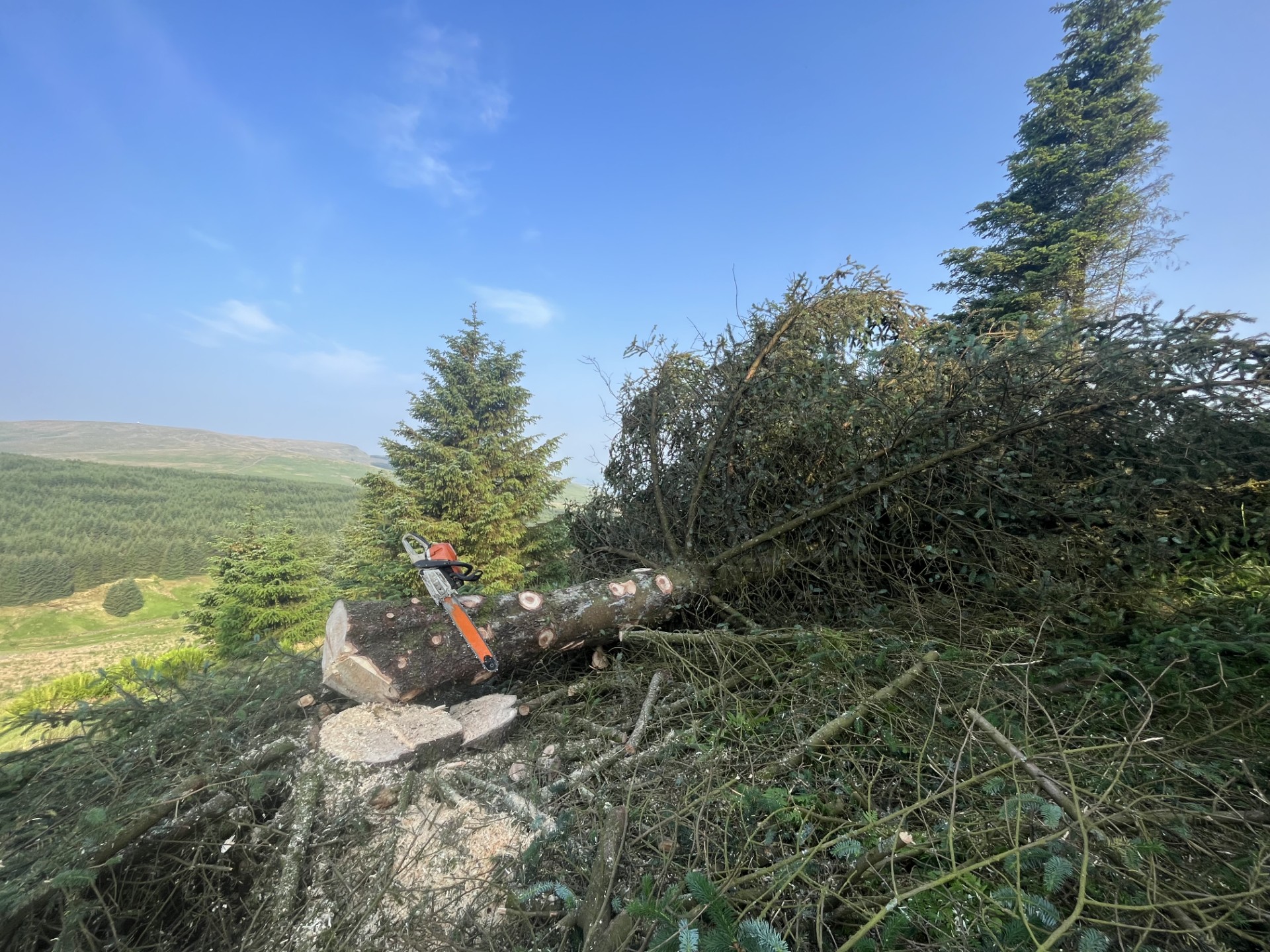 Woodland Management - James Watson Tree Services